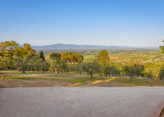 Il Cipresso Sinalunga